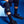 DHARCO TRAIL KNEE PADS