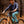 DHARCO MENS ATHER PANTS