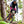 DHARCO TRAIL KNEE PADS
