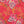 DHARCO WOMENS TECH PARTY SHIRT