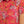 DHARCO WOMENS TECH PARTY SHIRT