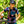 DHARCO YOUTH SHORT SLEEVE JERSEY