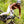 DHARCO MENS GRAVITY JERSEY