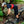 DHARCO Mens Gravity Shorts