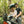 Kids Ride Shotgun Kids Pro Combo MTB Seat & Handlebar Black
