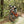 Kids Ride Shotgun Kids Pro Combo MTB Seat & Handlebar Black